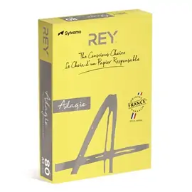 Papir fotokopirni color A4 80gr Rey Adagio intensive žuti 66 500/1